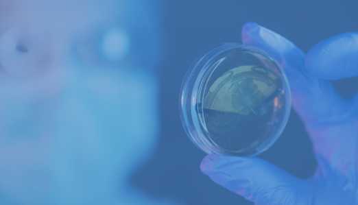 Contenuto Antibioticoterapia